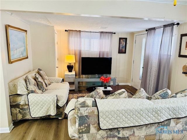 living room featuring hardwood / wood-style flooring