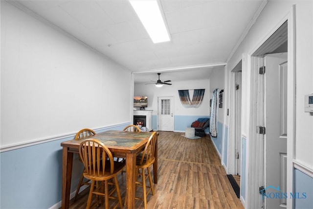 dining space with hardwood / wood-style floors and ceiling fan