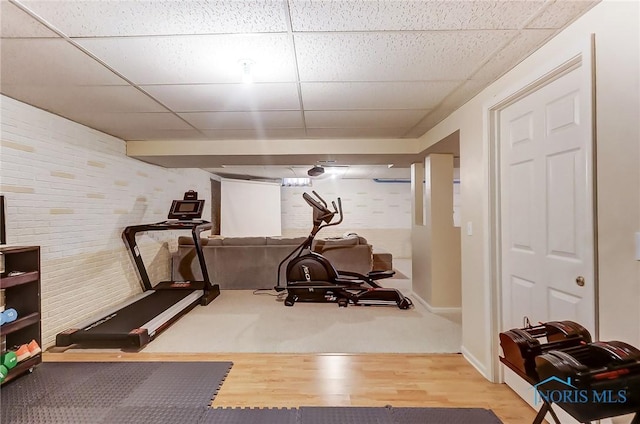 exercise room with hardwood / wood-style flooring and a drop ceiling