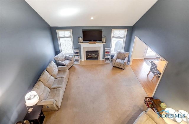 living room featuring light hardwood / wood-style flooring