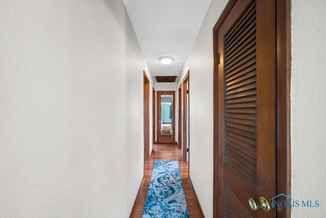 corridor featuring hardwood / wood-style flooring