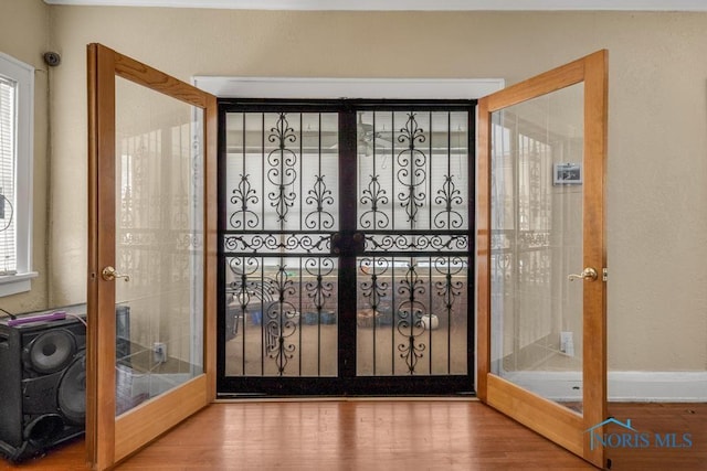 doorway featuring hardwood / wood-style flooring, plenty of natural light, and french doors