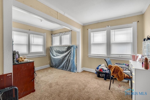 bedroom with multiple windows, crown molding, and light colored carpet