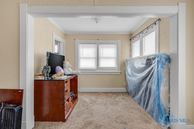 interior space with light carpet and crown molding