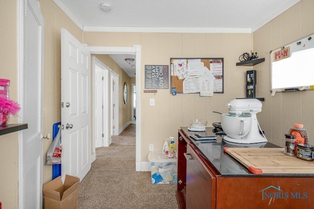 carpeted office space featuring crown molding