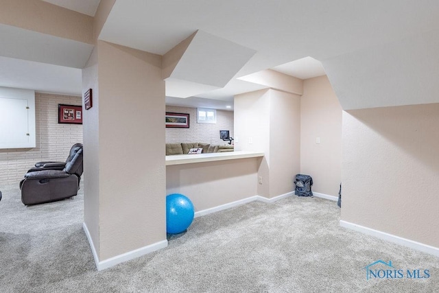 workout room featuring light colored carpet