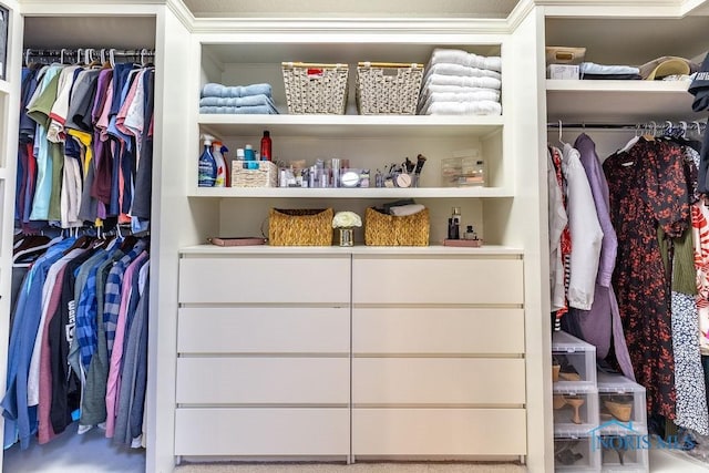 view of closet