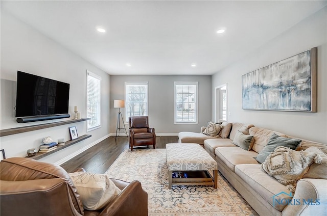 living room with hardwood / wood-style flooring