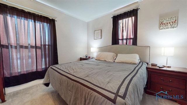 view of carpeted bedroom