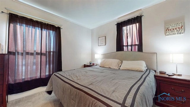 view of carpeted bedroom