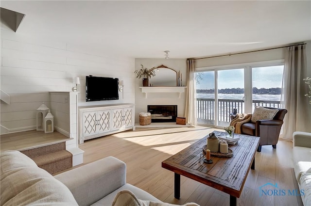 living room with light wood-type flooring