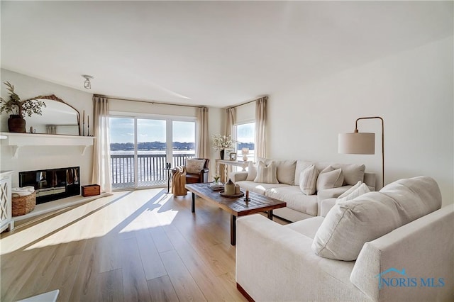 living room with a water view and light hardwood / wood-style floors