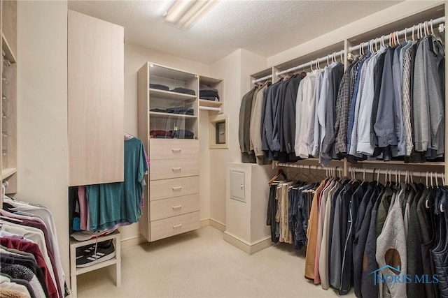 walk in closet featuring light carpet