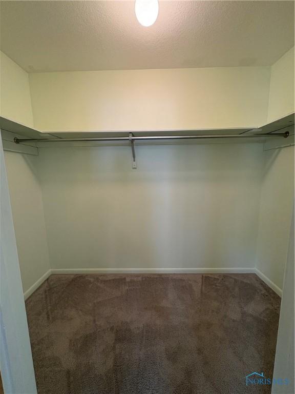 walk in closet featuring carpet