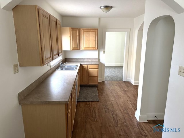 kitchen with sink, dark wood-type flooring, and light brown cabinets