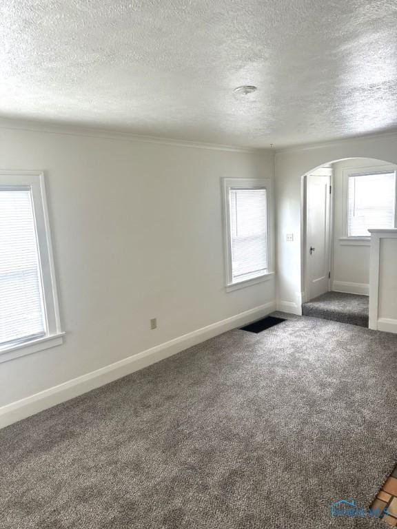 carpeted empty room featuring ornamental molding and a textured ceiling