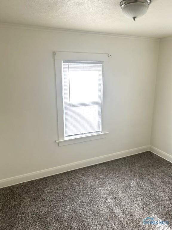 carpeted empty room featuring crown molding and a textured ceiling