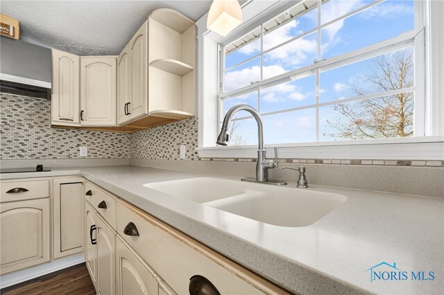 kitchen featuring a healthy amount of sunlight, sink, and backsplash