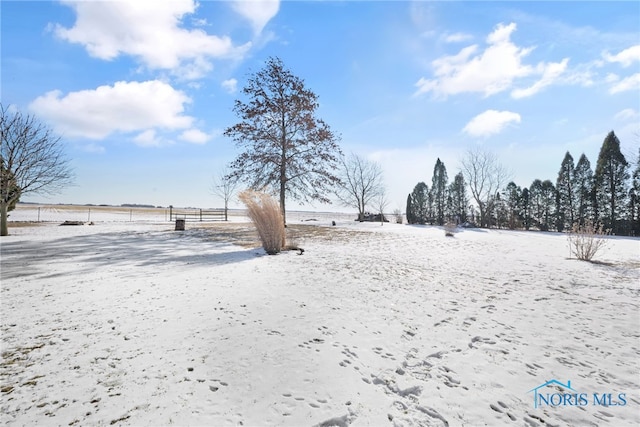 view of yard covered in snow