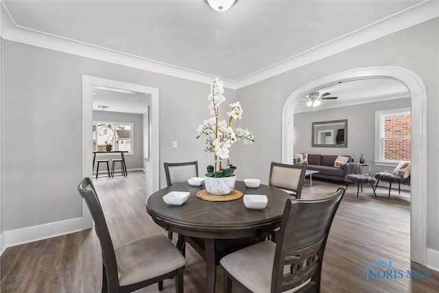 dining room with dark hardwood / wood-style flooring, ceiling fan, ornamental molding, and a healthy amount of sunlight