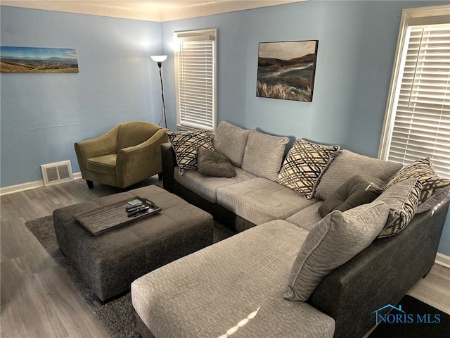 living room with wood-type flooring