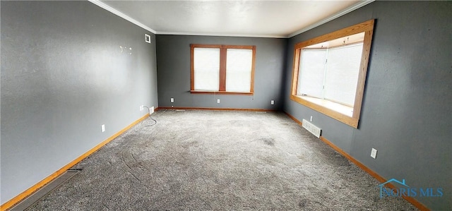 spare room featuring crown molding and carpet