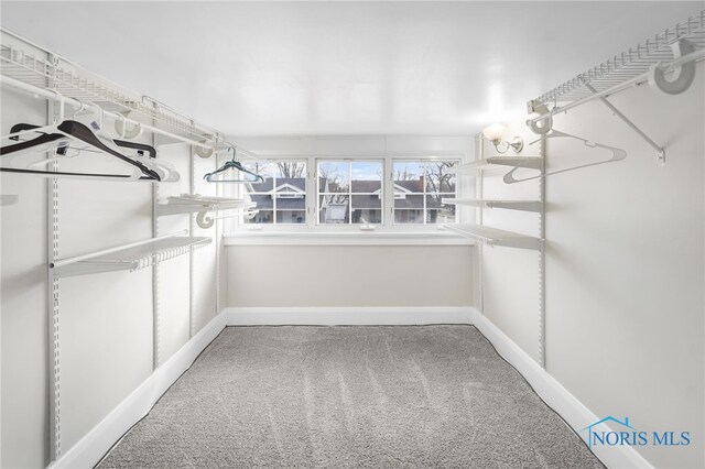 spacious closet with carpet flooring