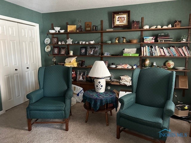 living area featuring carpet and a textured ceiling