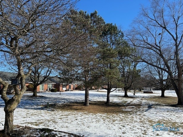 view of snowy yard