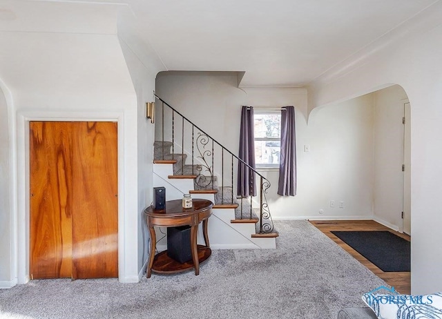 entrance foyer with carpet flooring