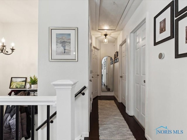 hall with dark hardwood / wood-style flooring