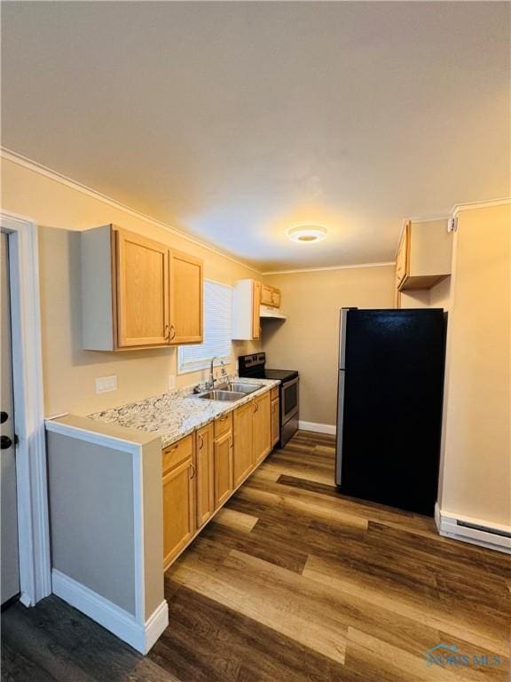 kitchen with dark wood-type flooring, stainless steel appliances, sink, and light brown cabinets