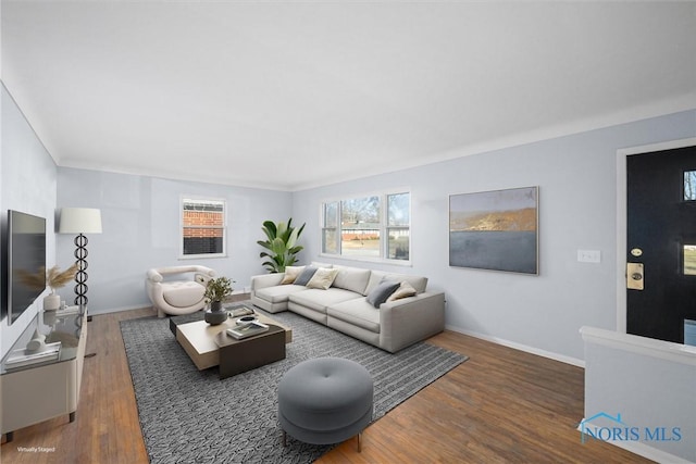 living room with dark hardwood / wood-style flooring