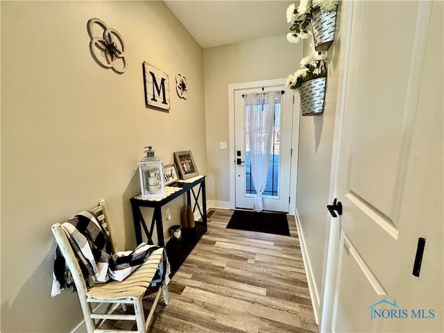 entryway featuring hardwood / wood-style flooring