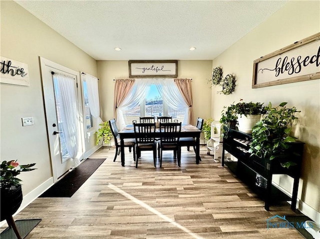 dining area featuring hardwood / wood-style floors and a textured ceiling