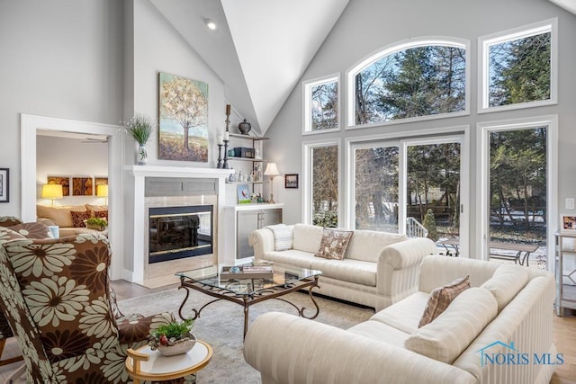 living room featuring light hardwood / wood-style flooring, a fireplace, and high vaulted ceiling