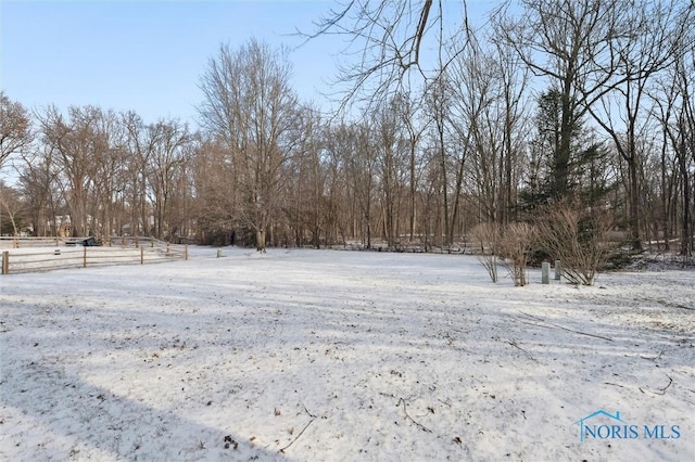 view of yard layered in snow