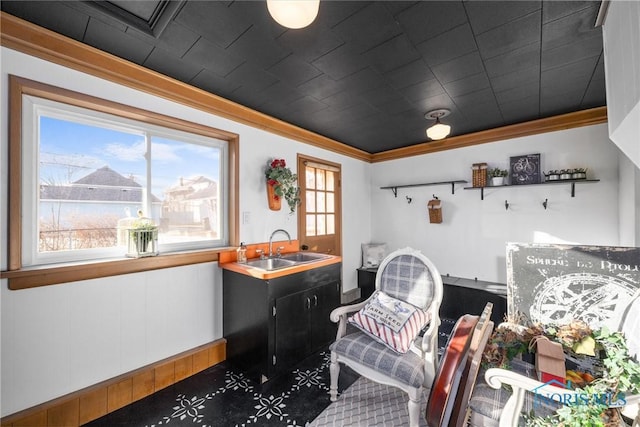 sitting room with sink and crown molding