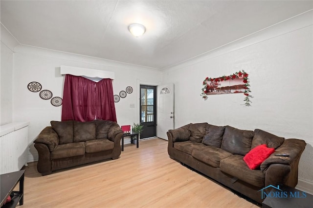 living room with wood-type flooring and ornamental molding