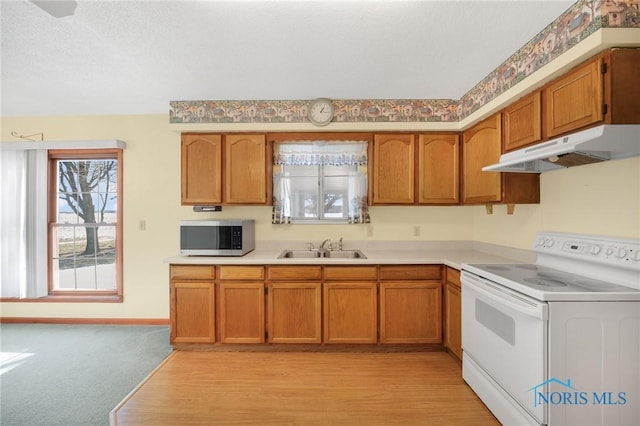 kitchen featuring electric stove, light colored carpet, sink, and a textured ceiling