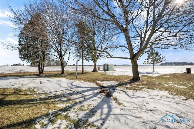 yard layered in snow with a storage shed