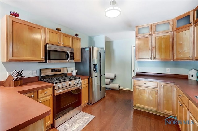 kitchen featuring appliances with stainless steel finishes and dark hardwood / wood-style flooring