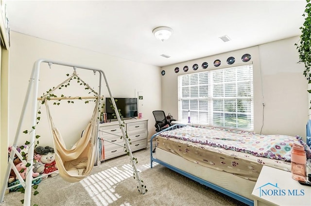 bedroom with carpet floors