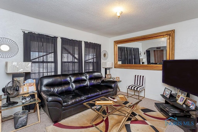 carpeted living room with a textured ceiling