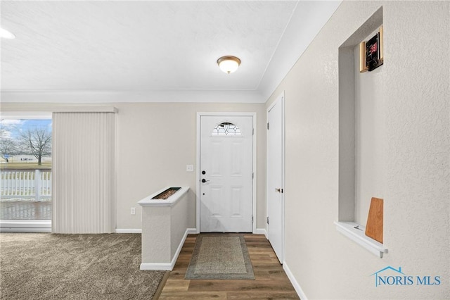 entrance foyer with dark wood-type flooring