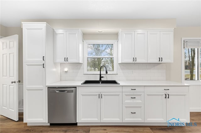 kitchen featuring stainless steel dishwasher, a healthy amount of sunlight, sink, and white cabinets