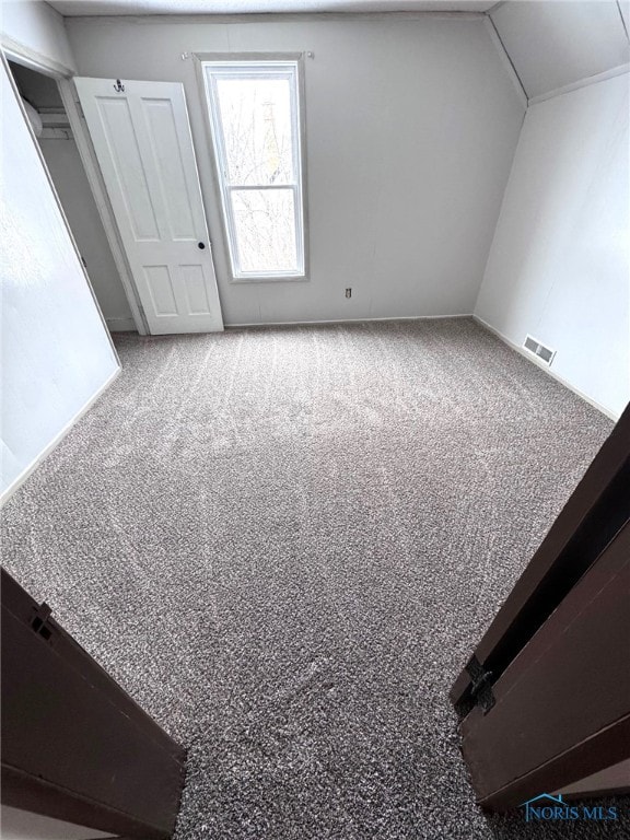 bonus room featuring vaulted ceiling and carpet floors