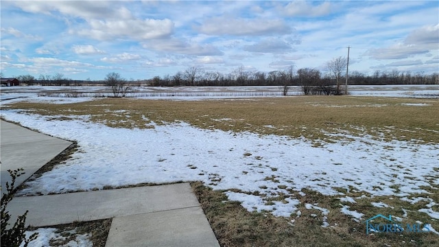 view of yard layered in snow