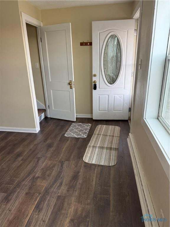 entrance foyer featuring dark wood-type flooring