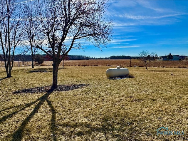 view of yard with a rural view